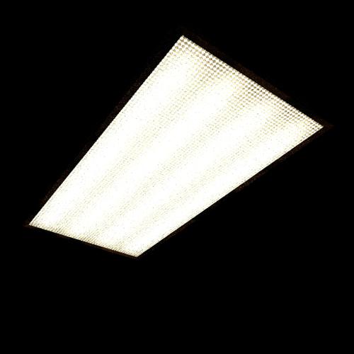 Standard North American Fluorescent Light Fixture preview image